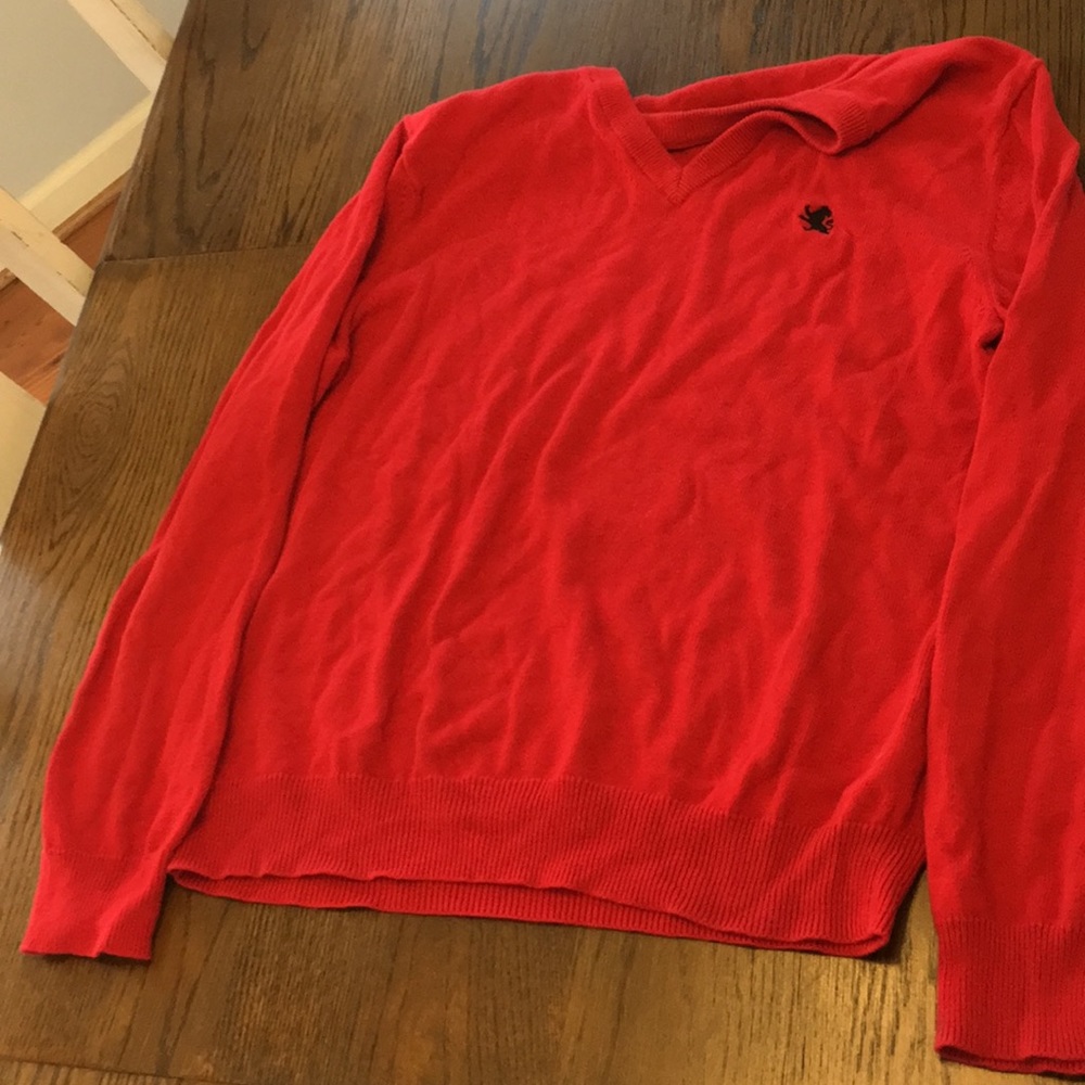 Express men’s sweater